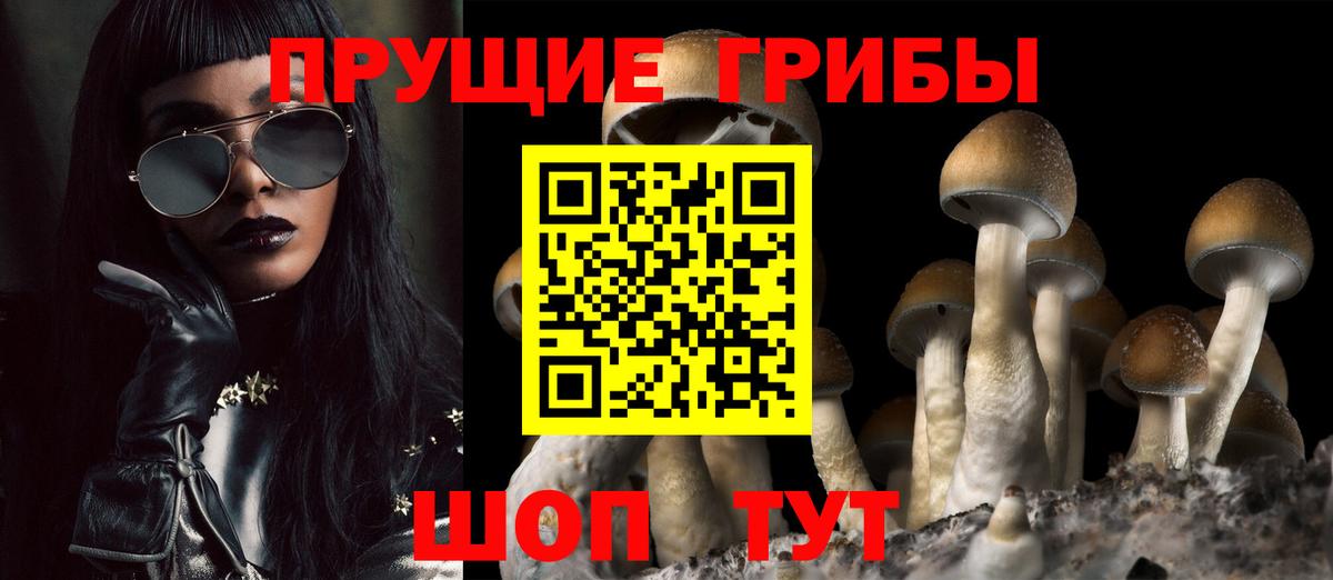 Псилоцибиновые грибы Cubensis Михайловск